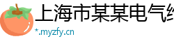 上海市某某电气维修站